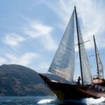 Costa Adeje: Respectful Whale Watching on Wooden Boat & Swim - Watching Whales and Dolphins in Their Natural Habitat