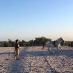 Costa Alentejana: Horse tour in Serra de Grândola - The Stops and Scenic Highlights