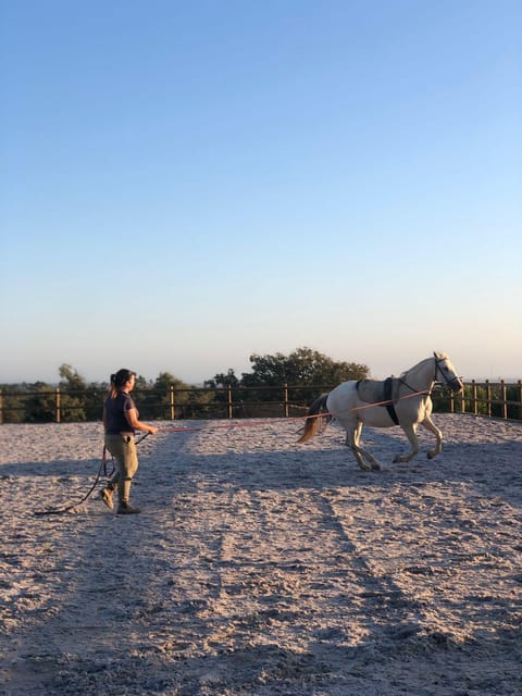 Costa Alentejana: Horse tour in Serra de Grândola - The Stops and Scenic Highlights