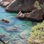 Costa Brava Day Adventure: Trails, Snorkel, Cliff-Jump & Meal - Transportation from Barcelona to Costa Brava in Comfort