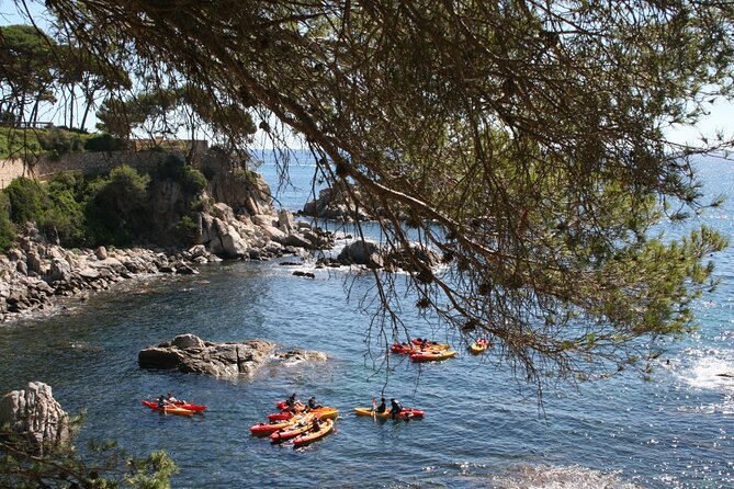Costa Brava Guided Kayak and Snorkeling Excursion in Playa de Aro - Starting Point and Group Size