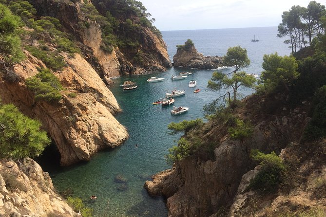 Costa Brava Scenic Hike & Tossa de Mar Small Group Tour - Walking the Costa Brava’s Famous Camí de Ronda Path