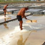 Costa Nova and Barra Beach Tour - Starting Point at R. Domingos Carrancho 2 and Convenient Meeting Details