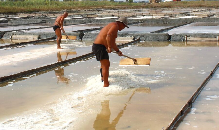 Costa Nova and Barra Beach Tour - Starting Point at R. Domingos Carrancho 2 and Convenient Meeting Details