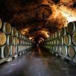 Côte de Beaune Half-Day Wine Tour from Dijon - Departing from Dijon’s Place Darcy