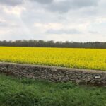 Cotswolds Shore Excursion from Southampton - The Experience of a Knowledgeable Driver and Personal Service