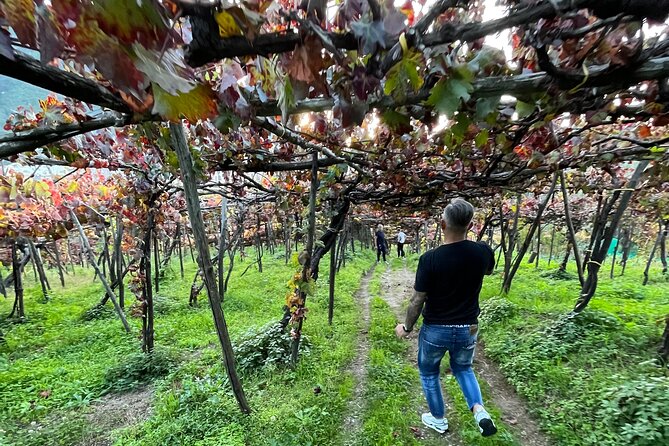 Craftsmanship and Flavors of Sorrento and Amalfi Coast - Starting Point: Pickup and Private Transportation in Naples