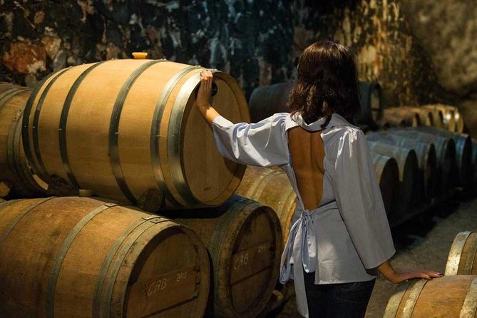 Cretan Delights - Wine, Olive Oil & Cooking Workshop from Chania - Experience Olive Oil Production at Tsivaras