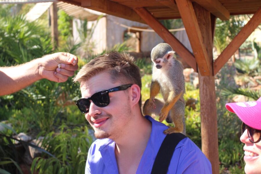 Crete: Agios Nikolaos, Kritsa and Amazonas Park Day Trip - Discovering the Vassilakis Estate and Olive Oil Production