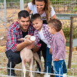 Crete: Farm Visit with Cheese Tasting and Milking Experience - Crete: Farm Visit in the Heart of the Mountains