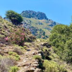 Crete: Guided Hiking Tour, Kavousi Canyon & Swimming - Starting the Adventure in Kavousi Village