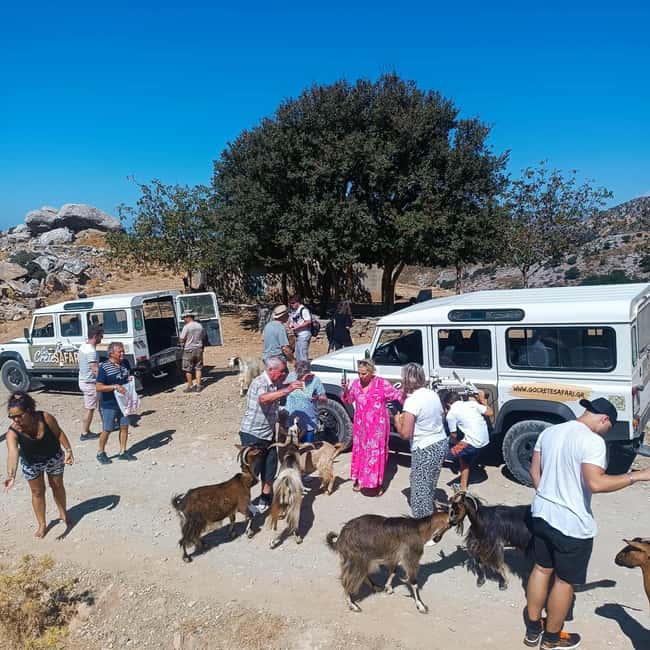 Crete: Guided Jeep Safari With Swimming And Snacks - Starting Point and Pick-Up Arrangements