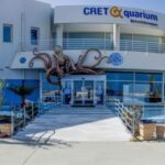 Crete: Heraklion Center, Local Market and Creta Aquarium - Cretaquarium: Marine Life Encounters and Skip-the-Line Access