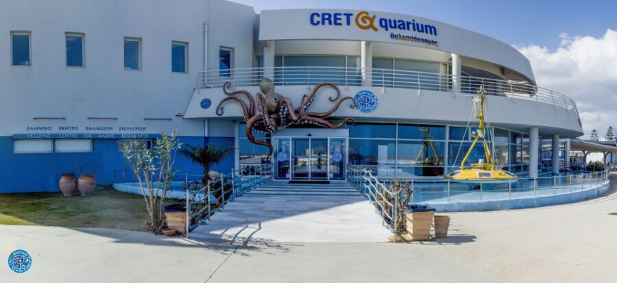 Crete: Heraklion Center, Local Market and Creta Aquarium - Cretaquarium: Marine Life Encounters and Skip-the-Line Access