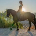 Crete Horse Riding: East Coastline Ride - The Route from the Horse Riding Center to Damnoni Beach