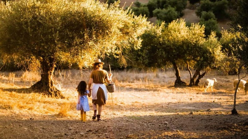 Crete: Knossos Palace, Olive Oil Tasting, and Heraklion Tour - Olive Oil Tasting and Cretan Delicacies