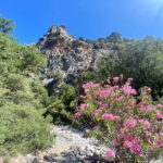 Crete: Kritsa Canyon Guided Hiking Tour - Kritsa Gorge: A Natural Wonder with Historical Touches