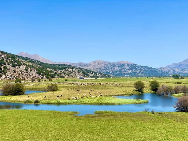 Crete: Lassithi Plateau Guided Hiking Tour - How Transportation and Group Sizes Are Managed