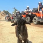 Crete: Quad Safari, Olive Mill with Tasting & Ghost Village - The Experience at the Peninsula Resort and Spa