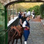 Crete: Traditional Dance Show and Buffet Dinner with Wine - The Evening Buffet and Unlimited Wine Experience