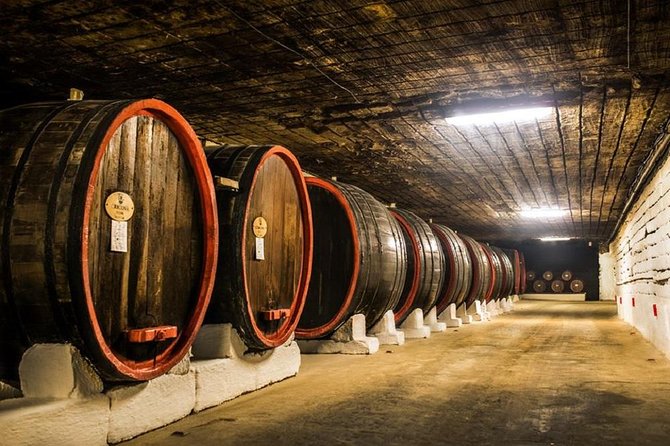 Cricova Winery with Tasting - Discovering the 15th-Century Limestone Tunnels