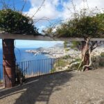 Cristo Rei & Garajau Tuk-Tuk Tour - Starting in Funchal: Pickup and Initial Exploration