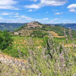 Croatia, Istria: 7-Day Premium Cycling & Gourmet E-Bike Tour - Starting the Istrian Adventure: From Buje to Pula