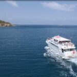 Cruise and 4X4 Safari Tour at Akamas Peninsula from Limassol - Exploring the Majestic Avakas Gorge