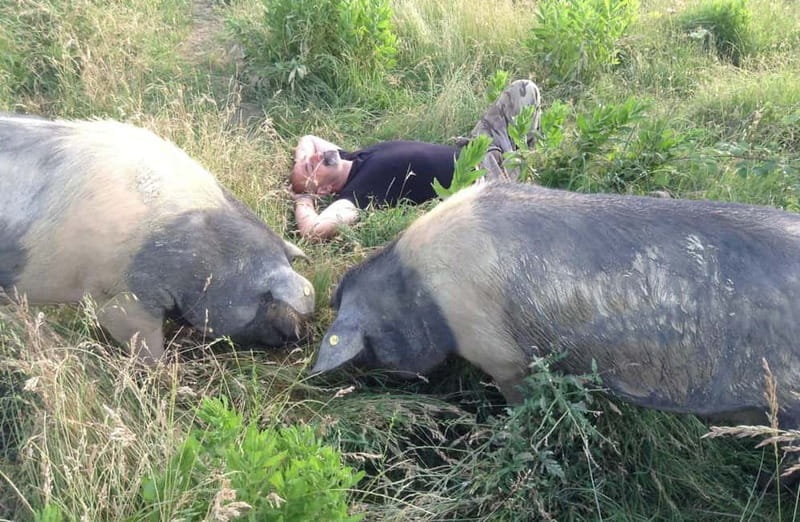 Cured Meat & Olive Oil Tasting & Visit near Pisa & Livorno - Olive Oil Tasting with Aromatic Blends and Organic Oils