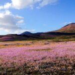 Customized Private Tours of Lanzarote island - The Volcanic Caves: A Journey Inside the Earth