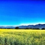 Cycling in the Green Ways and Country Roads of Girona - Discovering Banyoles Lake and Its Pristine Waters