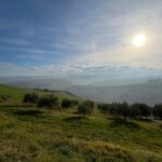 Cycling through history and flavors, discovering the fortress of Dozza in Emilia Romagna - Scenic E-Bike Loop from Rocca di Imola to Dozza