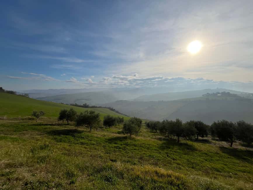 Cycling through history and flavors, discovering the fortress of Dozza in Emilia Romagna - Scenic E-Bike Loop from Rocca di Imola to Dozza