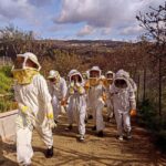 Cyprus: Honey Tour, Tasting, and Beekeeper Experience - Exploring the World of Bees in the Educational Hall