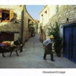 Cyprus: Omodos, Arsos Village & Wine Tasting - Exploring Arsos: A Village Steeped in Tradition