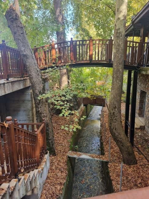 Cyprus: Troodos & Geopark or Pafos Forest & Villages Tour - Scenic Highlights in the Pafos Forest and Remote Villages