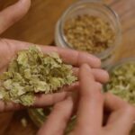 Czech Beer Tasting Experience - Snacks That Complement the Beer