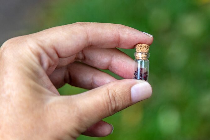 Czech garnet panning with animal farm, lunch 4WD trip from Prague - Discovering Mountain Views and Rana Mountain