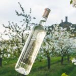 Czech Vineyards and Wine Tasting 4WD Tour with Lunch - Scenic Drive Through Czech Agricultural Land