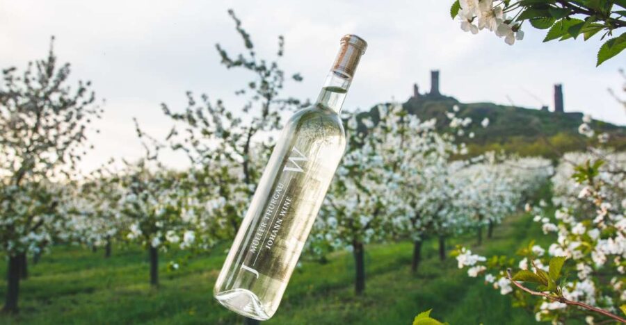 Czech Vineyards and Wine Tasting 4WD Tour with Lunch - Scenic Drive Through Czech Agricultural Land