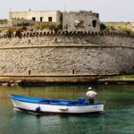 Daily Gallipoli Tour from Istanbul - Exploring Lone Pine Cemetery and Australian Memorial