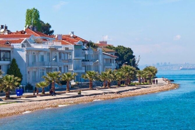 Daily Princes' Islands Tour with Lunch from Istanbul - From the Hotel to the Port: Easy Pickups and Comfort