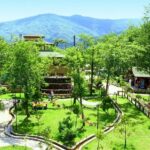 Daily Sapanca & Maukiye & Mahmudiye Tour with Lunch from Istanbul - Relaxing at Sapanca Lake’s Tranquil Shores