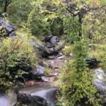 Dajti Cable Car and Shengjergj Waterfall Tour with Lunch - Exploring Dajti National Park and Its Natural Beauty