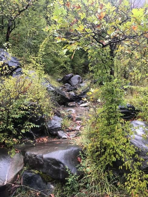 Dajti Cable Car and Shengjergj Waterfall Tour with Lunch - Exploring Dajti National Park and Its Natural Beauty