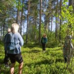 Dala-Floda: Forest Bathing Guided Meditative Walk - The Post-Walk Coffee and Reflection Time