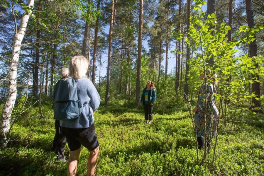 Dala-Floda: Forest Bathing Guided Meditative Walk - The Post-Walk Coffee and Reflection Time