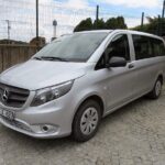 Dalaman Airport: KAS Private Arrival Transfer - Vehicle Options for Different Group Sizes