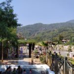 Dalyan Mud Bath and Turtle Beach from Sarigerme - Starting Point and Tour Duration