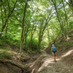 Danube Bend Hiking and Kayaking Adventure - Hiking Through the Beech Tree Forest